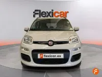 Usado Fiat Panda Lounge 69 CV (50 kW) 2016 Beige Utilitario