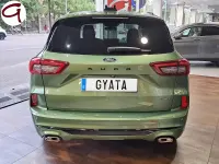 Usado Ford Kuga ST-Line 243 CV (178 kW) 2025 Verde SUV