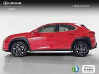 Usado Lexus UX 250h Business Edition 185 CV (136 kW) 2022 Rojo SUV