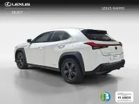 Usado Lexus UX Business Edition 184 CV (135 kW) 2022 Blanco SUV
