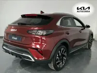 Nuevo Kia XCeed Style 115 CV (84 kW) 2025 Rojo SUV