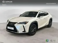 Usado Lexus UX 300h 199 CV (146 kW) 2026 Blanco SUV