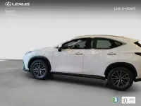 Nuevo Lexus NX350h 197 CV (144 kW) 2025 Blanco SUV