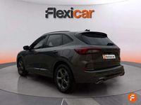Usado Ford Kuga ST-Line 150 CV (110 kW) 2025 Gris SUV