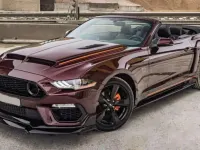 Usado Ford Mustang 290 CV (213 kW) 2018 Burdeos Descapotable