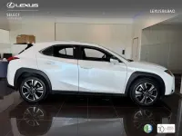 Usado Lexus UX 250h 184 CV (135 kW) 2022 Blanco SUV