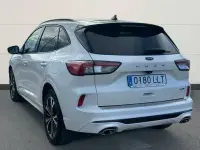 Usado Ford Kuga ST-Line X 150 CV (110 kW) 2020 Blanco SUV