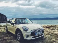 Usado Mini Cooper D 116 CV (85 kW) 2015 Beige Utilitario