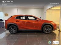 Usado Lexus UX 250h Business Edition 184 CV (135 kW) 2022 Naranja SUV