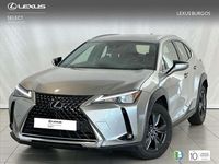 Usado Lexus UX 250h Business Edition 184 CV (135 kW) 2022 Gris SUV