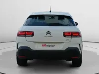 Usado Citroën C4 Cactus Live 110 CV (80 kW) 2020 Utilitario