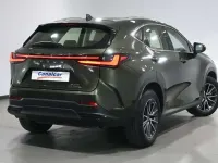 Usado Lexus NX300h Executive Line 197 CV (144 kW) 2022 Verde SUV