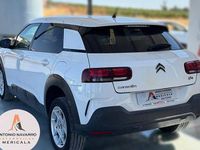 Usado Citroën C4 Cactus Feel 100 CV (73 kW) 2019 Utilitario
