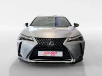 Usado Lexus UX 250h 184 CV (135 kW) 2023 Gris SUV
