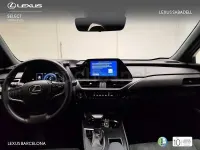 Usado Lexus UX Business Edition 184 CV (135 kW) 2021 Gris / plata SUV