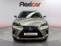 Usado Lexus NX300h Business Edition 197 CV (144 kW) 2018 Gris SUV