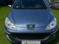 Usado Peugeot 407 137 CV (100 kW) 2005 Gris Familiar