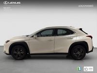 Usado Lexus UX Business Edition 184 CV (135 kW) 2021 Blanco SUV