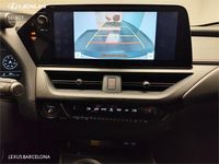 Usado Lexus UX Sport Line 199 CV (146 kW) 2025 Otro SUV