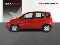 Occasion Fiat Panda 70 PK (51 kW) 2025 Rood Hatchback