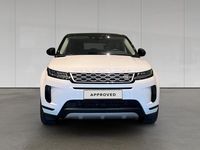 Usado Land Rover Range Rover evoque S 163 CV (119 kW) 2023 Fuji white SUV
