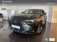 Usado Lexus NX450h+ 292 CV (214 kW) 2026 Verde SUV