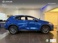Usado Lexus NX350h Business Edition 242 CV (177 kW) 2022 Azul SUV