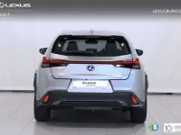 Usado Lexus UX 250h Sport Line 184 CV (135 kW) 2020 Gris SUV