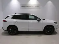 Usado Cupra Terramar 204 CV (150 kW) 2025 Blanco SUV