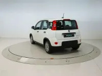 Usado Fiat Panda 71 HP (52 kW) 2024 Branco Citadino
