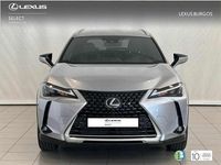 Usado Lexus UX 250h 184 CV (135 kW) 2024 Blanco SUV