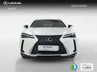 Usado Lexus UX 300h 199 CV (146 kW) 2025 Blanco SUV