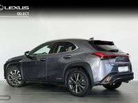 Usado Lexus UX 250h Sport Line 184 CV (135 kW) 2019 Varios colores SUV