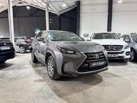 Usado Lexus NX300h 197 CV (144 kW) 2016 Gris SUV