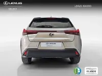 Usado Lexus UX 198 CV (145 kW) 2025 Gris SUV