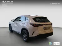 Nuevo Lexus NX350h 197 CV (144 kW) 2025 Blanco SUV
