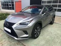 Usado Lexus NX300h Business Edition 197 CV (144 kW) 2021 Gris SUV