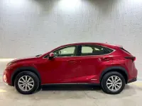 Usado Lexus NX300h Business Edition 197 CV (144 kW) 2020 Burdeos SUV