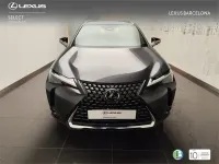 Usado Lexus UX 300h 199 CV (146 kW) 2025 Gris SUV