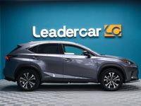 Usado Lexus NX300h Business Edition 197 CV (144 kW) 2021 Gris SUV