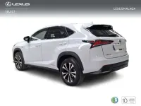Usado Lexus NX300h Sport Line 197 CV (144 kW) 2020 Blanco SUV