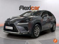 Usado Lexus NX300h Business Edition 197 CV (144 kW) 2019 Gris SUV