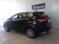 Usado Lexus NX300h Business Edition 197 CV (144 kW) 2020 Negro SUV