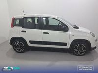 Usado Fiat Panda City Life 70 CV (51 kW) 2021 Blanco Utilitario