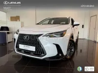 Usado Lexus NX350h 197 CV (144 kW) 2025 Blanco SUV
