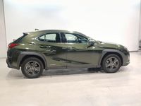 usado Lexus UX 2 0 250h Luxury Verde