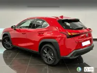 Usado Lexus UX 184 CV (135 kW) 2023 Rojo SUV