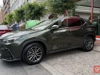 Usado Lexus NX350h Executive Line 242 CV (177 kW) 2022 Verde SUV