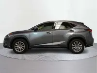 Usado Lexus NX300h Business Edition 197 CV (144 kW) 2021 SUV