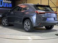 Usado Lexus UX Business Edition 2022 SUV